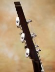 Collings-soco-19