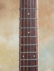 Collings-i35-icedtea-07