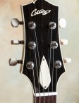 Collings-i35-icedtea-13