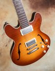 Collings-i35-icedtea-15
