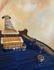 Prs anniversaryblue-23