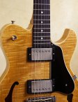 Jgdotmaster korina 29812-03