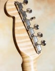 Lentz-s-style-reserve-15