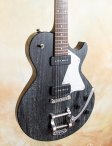 Collings-290-doghair-bigsby-07