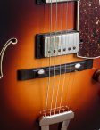 Andersen-frisell-archie-12