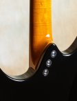 Scottwalker-electro2014-preowned-10