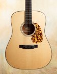 Collings-cw-02