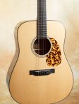 Collings-cw-06