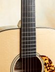 Collings-cw-09
