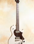 Collings-360lt-goldfoil-06