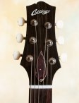 Collings-360lt-goldfoil-15