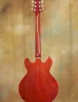 collings-i35-2