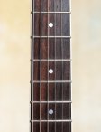 Collings-i35-15