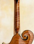 Collings-mf5o-11