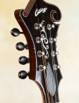 Collings-mf5o-14