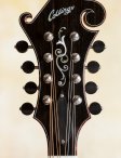 Collings-mf5o-15