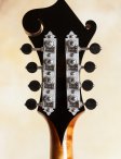 Collings-mf5o-17