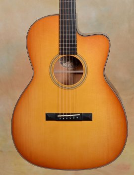 collings-0001cutaway-1