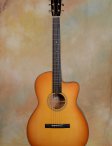 collings-0001cutaway-2