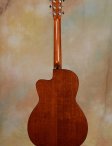 collings-0001cutaway-3