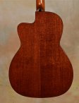 collings-0001cutaway-4