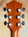 Collings-eastside-18