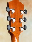 Collings-eastside-19