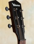 Collings-waterloo-14xtr-16