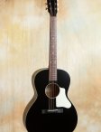 Collings-waterloo-14ltr-05