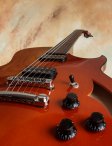 Marchione-premiumsemihollow-14