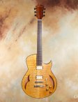 Marchione-semihollow-01