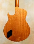 Marchione-semihollow-04