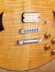 Marchione-semihollow-13
