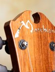 Marchione-semihollow-18