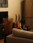 cr_guitars-shop9