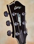 Collings-citylimits-16